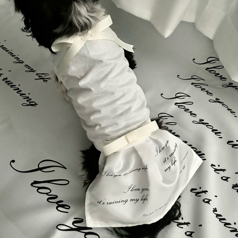 💖🐶TTPD Tortured Poets DOG Dress Halloween COSTUME Dress!